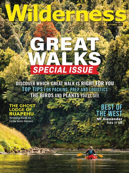 Cover image for Wilderness